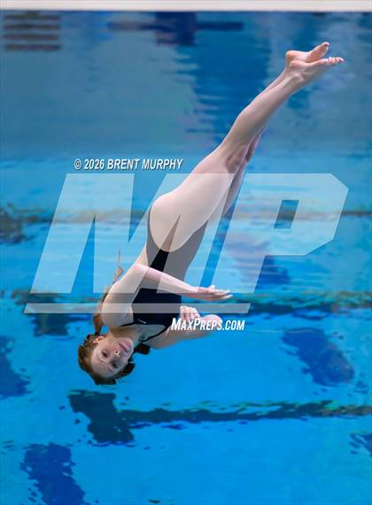 Thumbnail 3 in CHSAA 4A Finals (Diving) photogallery.