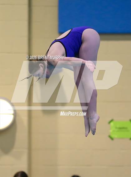 Thumbnail 2 in CHSAA 4A Finals (Diving) photogallery.