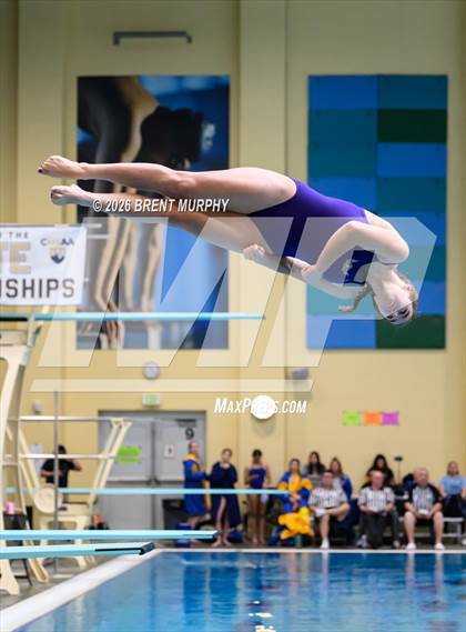 Thumbnail 3 in CHSAA 4A Finals (Diving) photogallery.