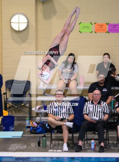 Thumbnail 3 in CHSAA 4A Finals (Diving) photogallery.