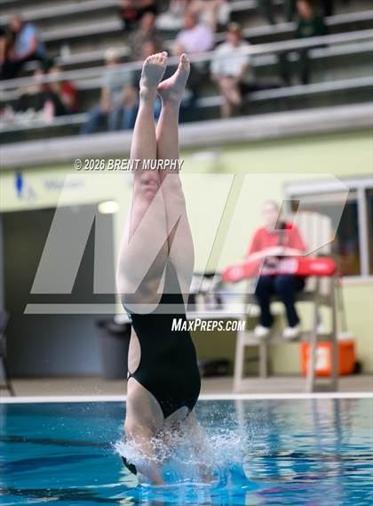 Thumbnail 3 in CHSAA 4A Finals (Diving) photogallery.