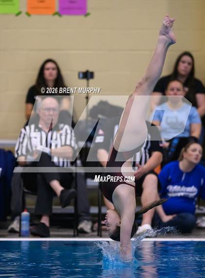 Thumbnail 2 in CHSAA 4A Finals (Diving) photogallery.