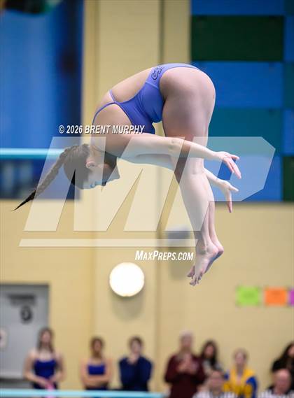 Thumbnail 2 in CHSAA 4A Finals (Diving) photogallery.