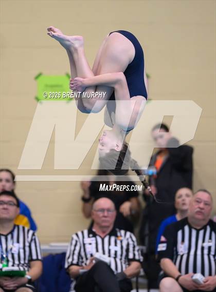 Thumbnail 1 in CHSAA 4A Finals (Diving) photogallery.