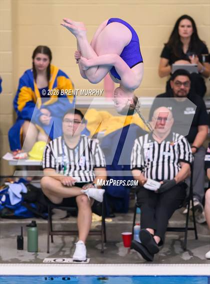 Thumbnail 2 in CHSAA 4A Finals (Diving) photogallery.