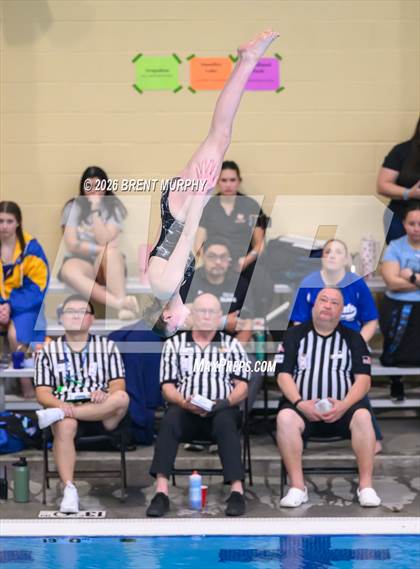 Thumbnail 1 in CHSAA 4A Finals (Diving) photogallery.
