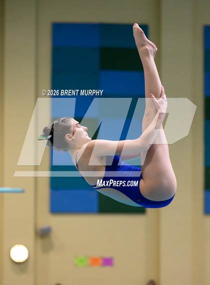 Thumbnail 2 in CHSAA 4A Finals (Diving) photogallery.