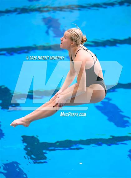 Thumbnail 3 in CHSAA 4A Finals (Diving) photogallery.