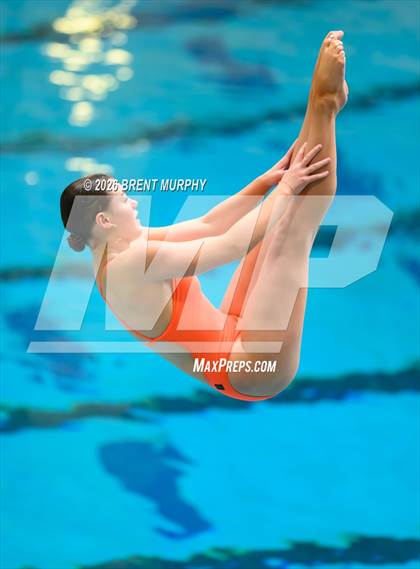 Thumbnail 1 in CHSAA 4A Finals (Diving) photogallery.