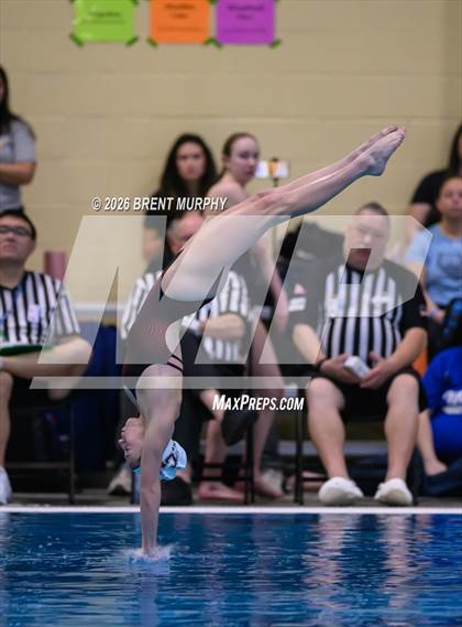 Thumbnail 2 in CHSAA 4A Finals (Diving) photogallery.