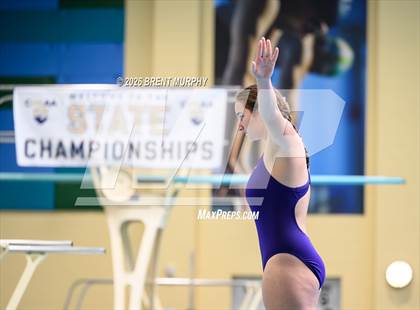 Thumbnail 2 in CHSAA 4A Finals (Diving) photogallery.