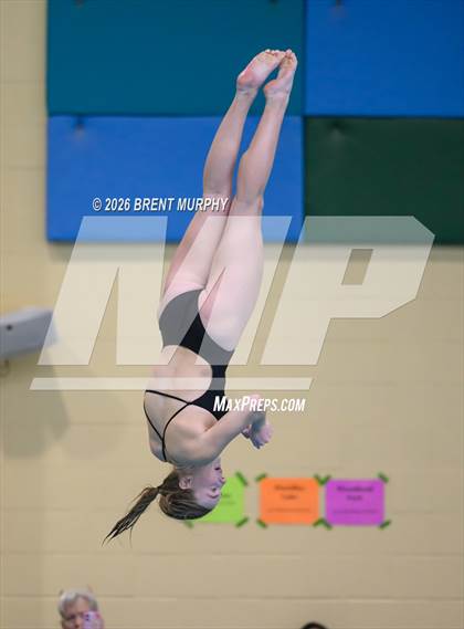 Thumbnail 1 in CHSAA 4A Finals (Diving) photogallery.