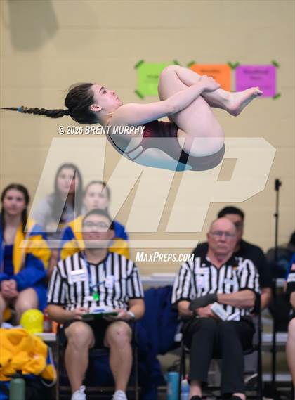Thumbnail 2 in CHSAA 4A Finals (Diving) photogallery.