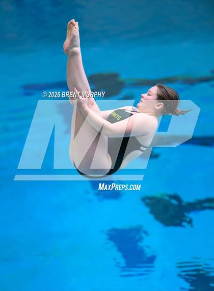 Thumbnail 2 in CHSAA 4A Finals (Diving) photogallery.