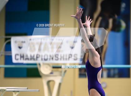 Thumbnail 3 in CHSAA 4A Finals (Diving) photogallery.