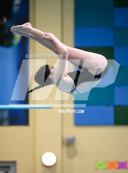 Thumbnail 3 in CHSAA 4A Finals (Diving) photogallery.
