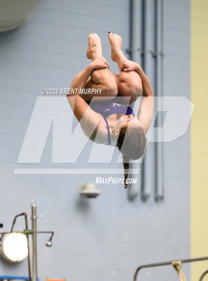 Thumbnail 2 in CHSAA 4A Finals (Diving) photogallery.