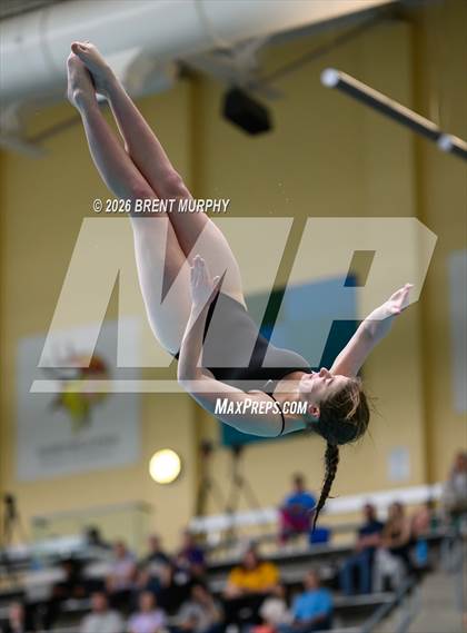Thumbnail 2 in CHSAA 4A Finals (Diving) photogallery.