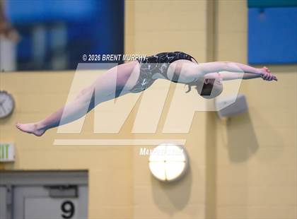 Thumbnail 3 in CHSAA 4A Finals (Diving) photogallery.
