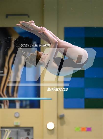 Thumbnail 2 in CHSAA 4A Finals (Diving) photogallery.