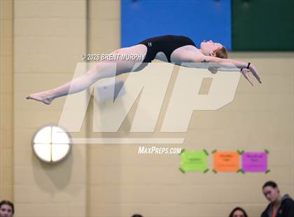 Thumbnail 1 in CHSAA 4A Finals (Diving) photogallery.