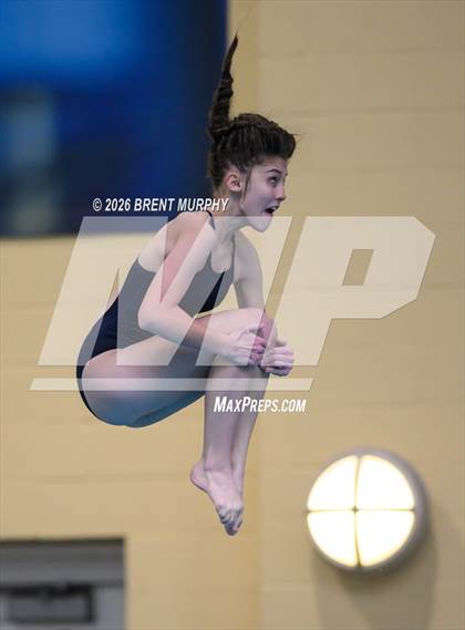 Thumbnail 2 in CHSAA 4A Finals (Diving) photogallery.