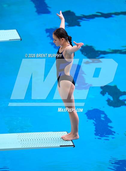 Thumbnail 1 in CHSAA 4A Finals (Diving) photogallery.