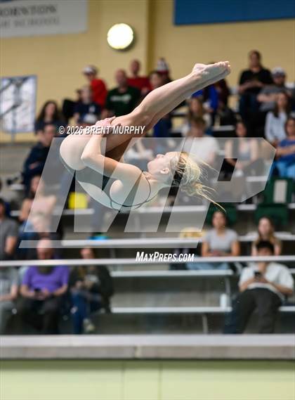 Thumbnail 2 in CHSAA 4A Finals (Diving) photogallery.