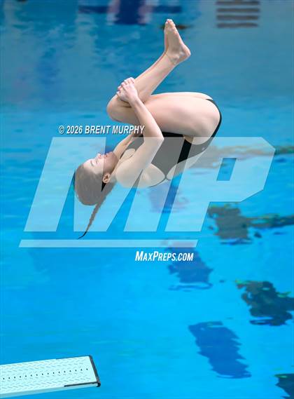 Thumbnail 3 in CHSAA 4A Finals (Diving) photogallery.