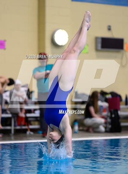 Thumbnail 1 in CHSAA 4A Finals (Diving) photogallery.