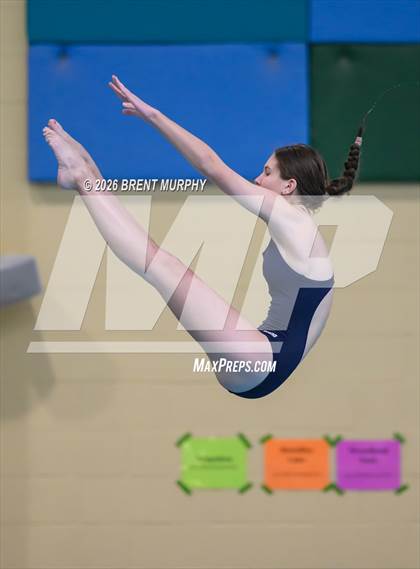 Thumbnail 2 in CHSAA 4A Finals (Diving) photogallery.