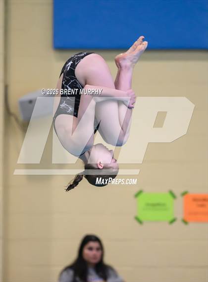 Thumbnail 3 in CHSAA 4A Finals (Diving) photogallery.