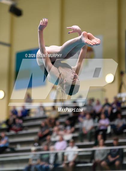 Thumbnail 3 in CHSAA 4A Finals (Diving) photogallery.