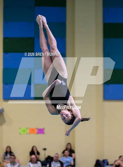 Thumbnail 2 in CHSAA 4A Finals (Diving) photogallery.