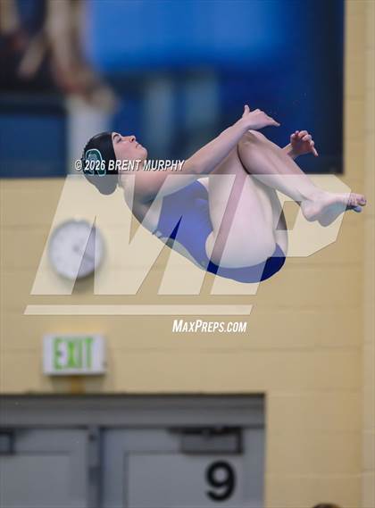 Thumbnail 2 in CHSAA 4A Finals (Diving) photogallery.