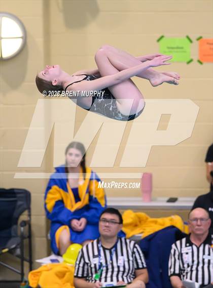 Thumbnail 1 in CHSAA 4A Finals (Diving) photogallery.