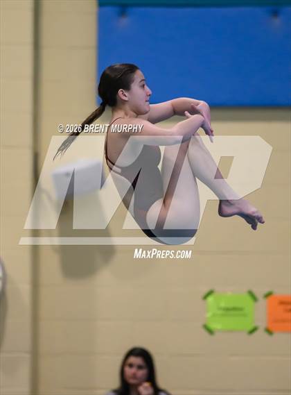 Thumbnail 1 in CHSAA 4A Finals (Diving) photogallery.
