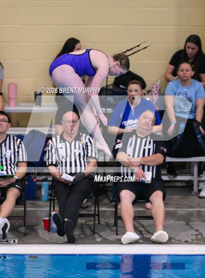 Thumbnail 1 in CHSAA 4A Finals (Diving) photogallery.