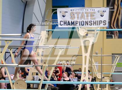 Thumbnail 3 in CHSAA 4A Finals (Diving) photogallery.