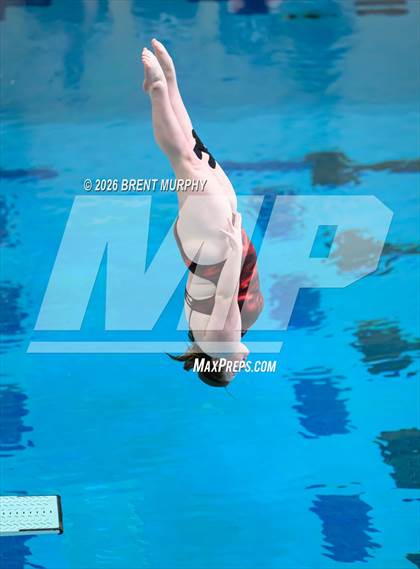 Thumbnail 1 in CHSAA 4A Finals (Diving) photogallery.