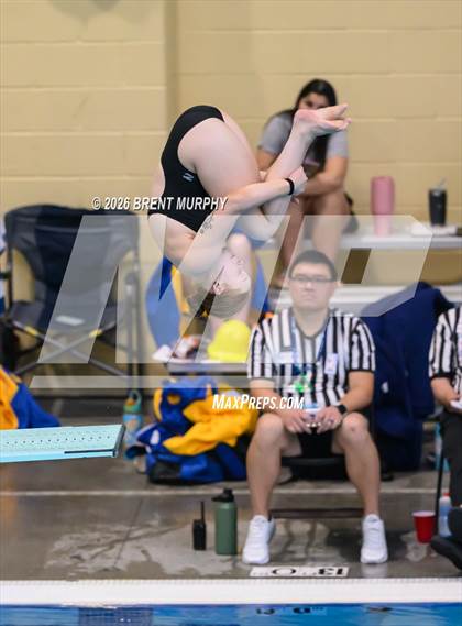 Thumbnail 2 in CHSAA 4A Finals (Diving) photogallery.