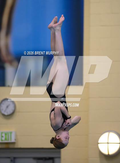 Thumbnail 2 in CHSAA 4A Finals (Diving) photogallery.