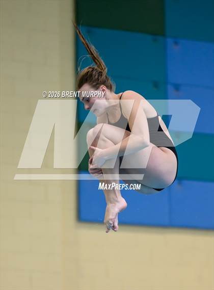 Thumbnail 1 in CHSAA 4A Finals (Diving) photogallery.