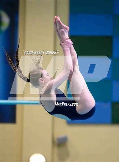 Thumbnail 2 in CHSAA 4A Finals (Diving) photogallery.