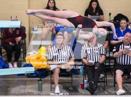 Thumbnail 1 in CHSAA 4A Finals (Diving) photogallery.