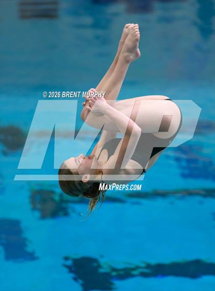 Thumbnail 1 in CHSAA 4A Finals (Diving) photogallery.