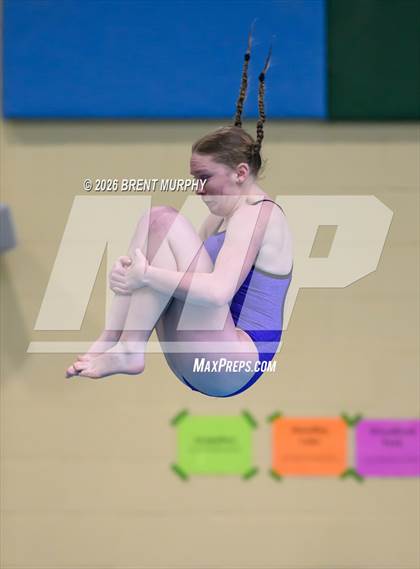 Thumbnail 2 in CHSAA 4A Finals (Diving) photogallery.