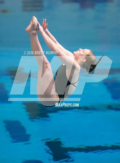 Thumbnail 1 in CHSAA 4A Finals (Diving) photogallery.