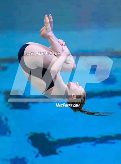 Thumbnail 2 in CHSAA 4A Finals (Diving) photogallery.