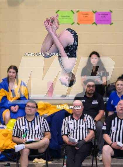 Thumbnail 2 in CHSAA 4A Finals (Diving) photogallery.